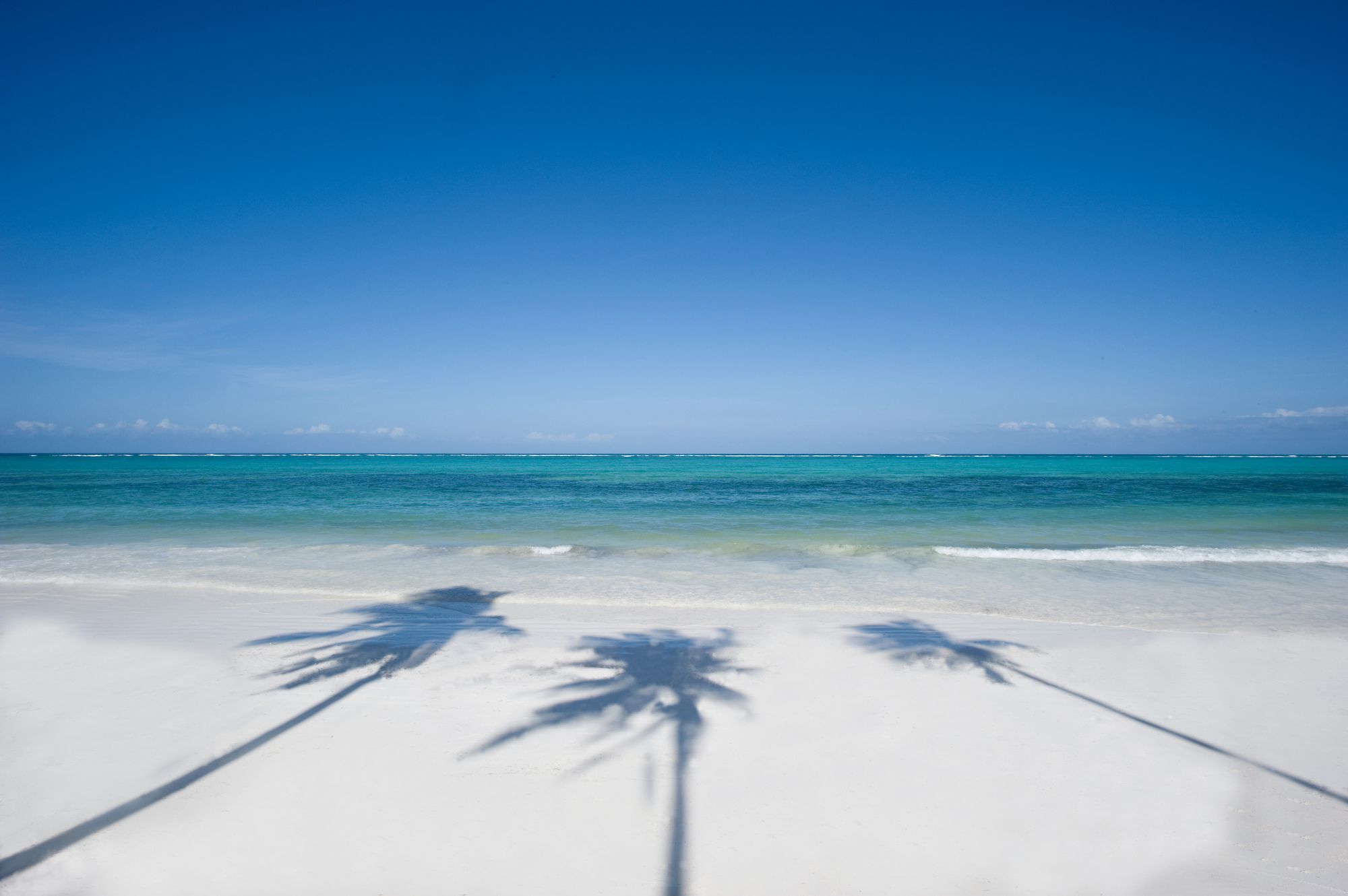 Resort Baraza And Zanzibar